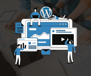 Plugin Based WordPress Website